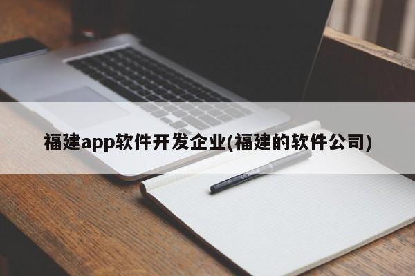 福建app软件开发企业(福建的软件公司)