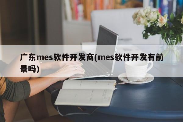 广东mes软件开发商(mes软件开发有前景吗)