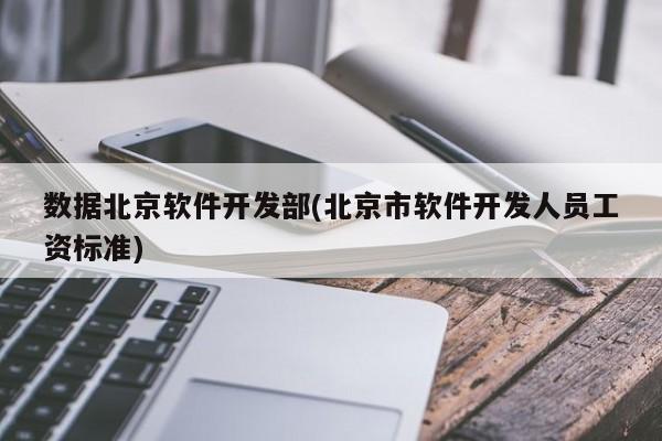 数据北京软件开发部(北京市软件开发人员工资标准)