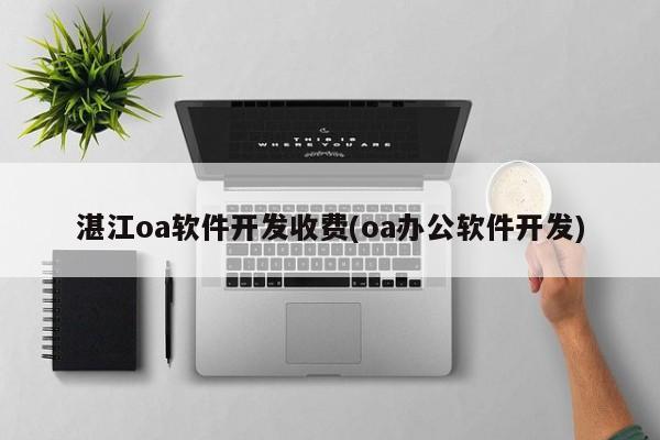 湛江oa软件开发收费(oa办公软件开发)